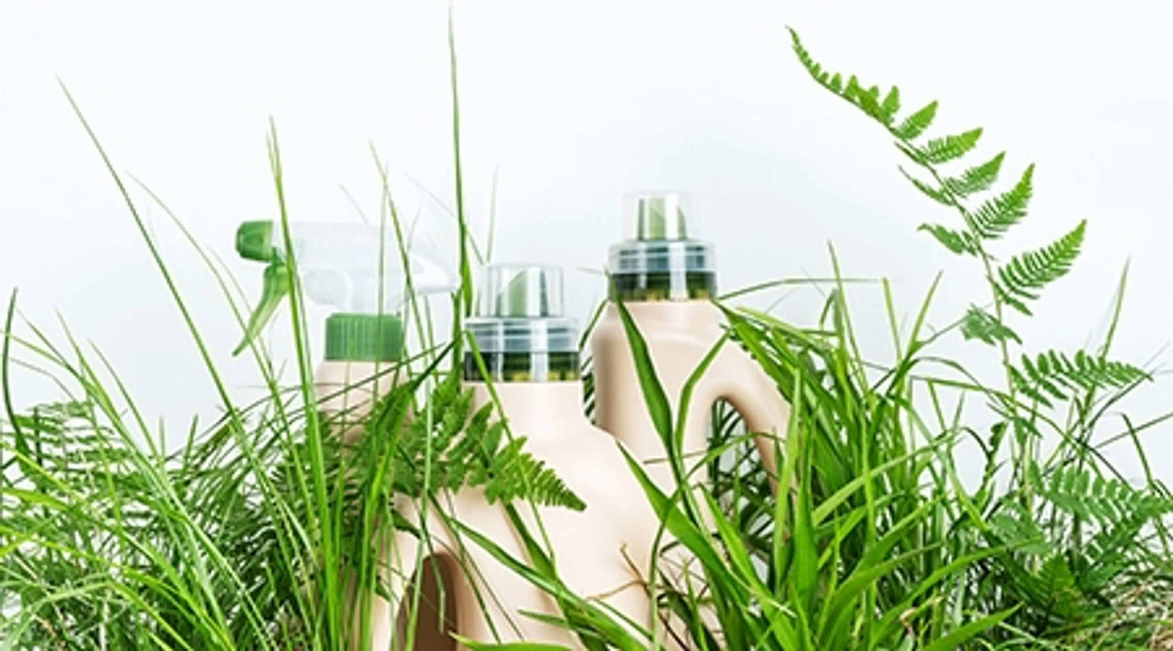 Bottles in green plants